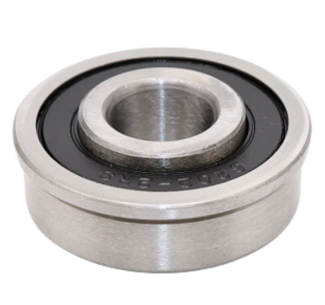 RS 6202 Bearing